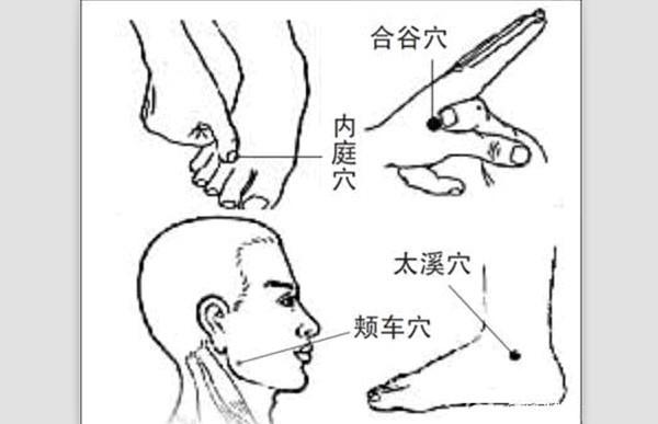 牙痛5天了耳朵的根部也疼下巴也感觉肿疼右边的牙齿都