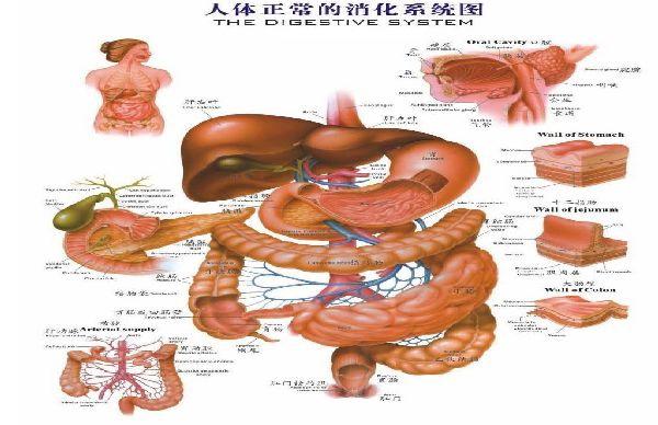 治顽固性呃逆