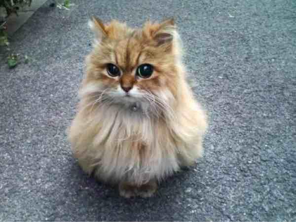 好烦啊!我不怎么高,在高一同龄都被埋没,呜呜呜