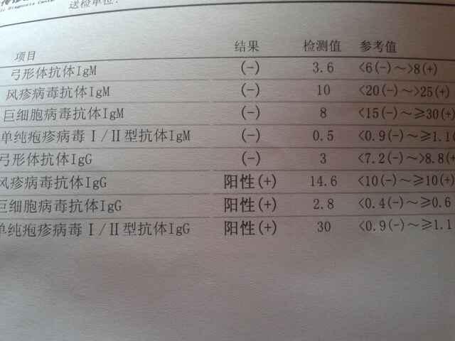 抗torch抗体定量检测