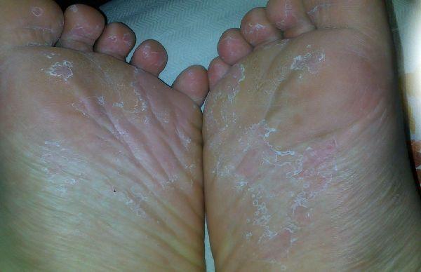 29053_1.jpg
