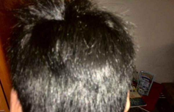 20140118095233_172_thumb.jpg