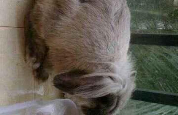 20140420095817_286_thumb.jpg