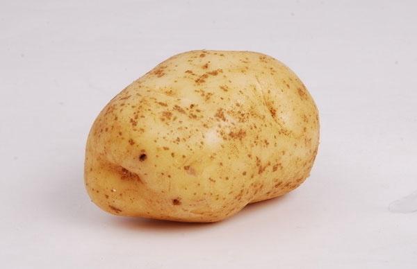 1b4852376.jpg