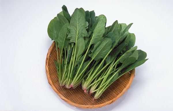 菠菜是什么性蔬菜 226044b11.jpg