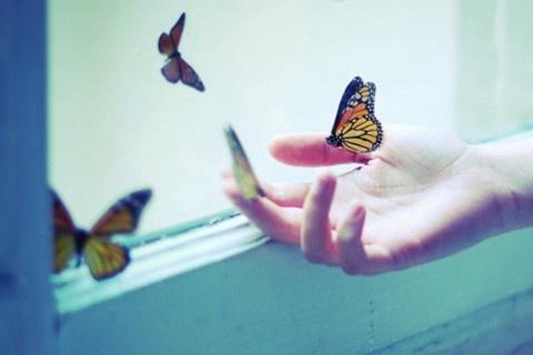 288_2099_1_0.jpg